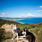 Privat bolig Thevvstory ,, Lovely - Close To Town And Nature Akrotiri (Zakynthos)